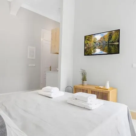 דירה Historical Charm *